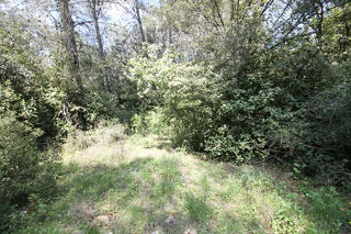  Terrain à vendre 5551 m²
