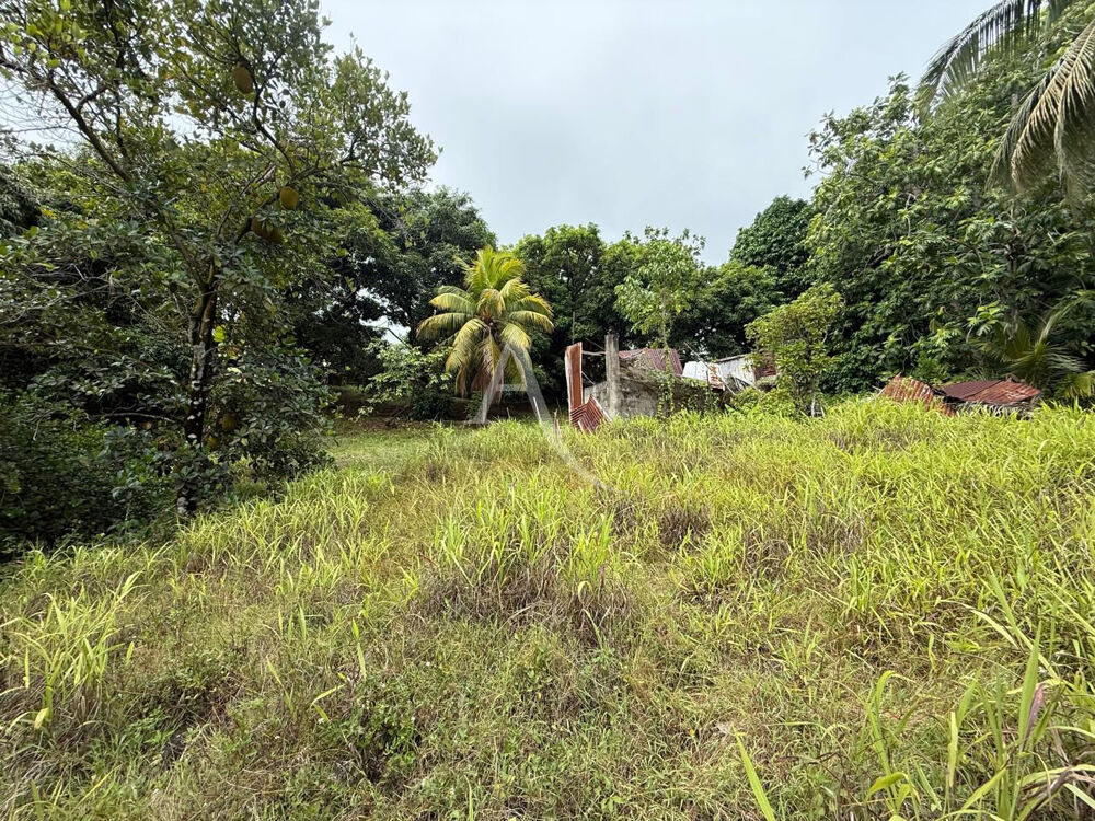 à vendre  Maison Petit-Bourg (97170)