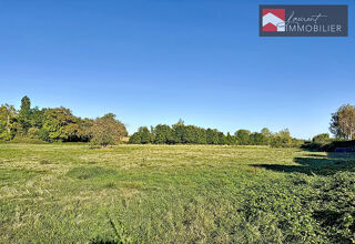 Vente Terrain Opportunité Rare à Montbellet : Vaste terrain de grande superficie Montbellet