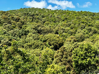  Terrain � vendre 23704 m�