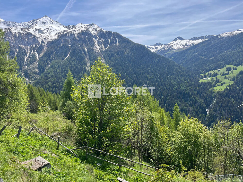73210 Peisey-Nancroix Chalet T5 skis aux pieds avec vue exceptionnelle