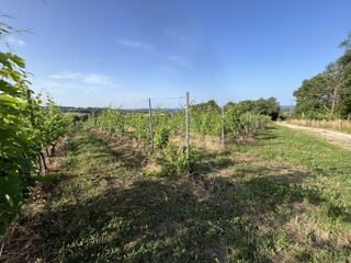  Terrain � vendre 1 pi�ce 1 m�