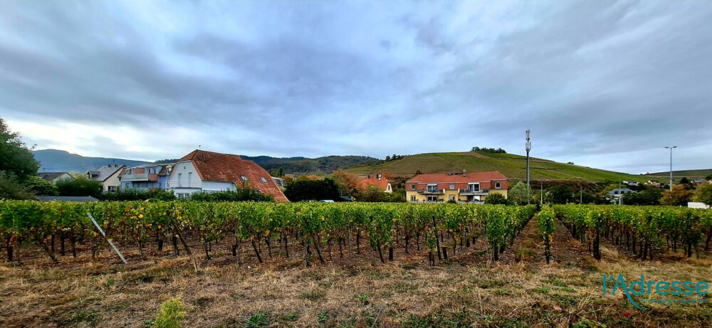 Vente Terrain Terrain Turckheim 2670 m2 Turckheim