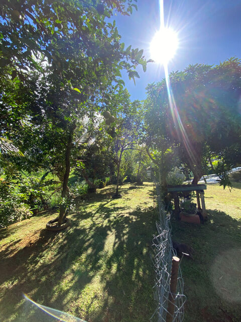  Appartement � louer 3 pi�ces 53 m�