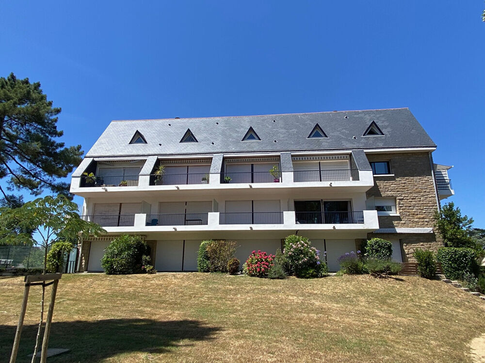 Grand studio de 25,39 M2