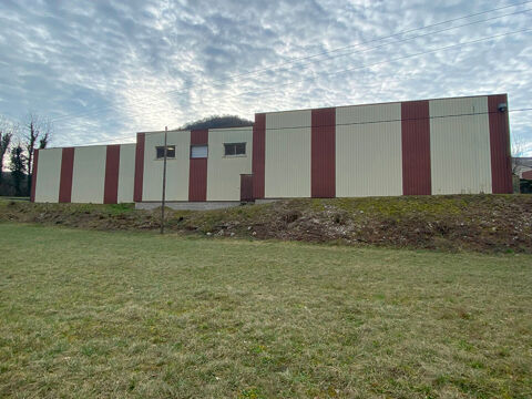 LOCAL PROFESSIONNEL ET COMMERCIAL 1056 m2 430000 01590 Chancia