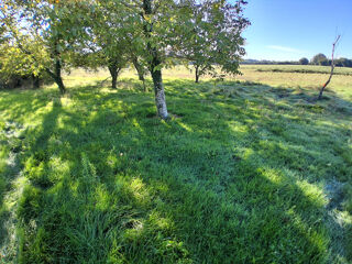  Terrain � vendre 1354 m�