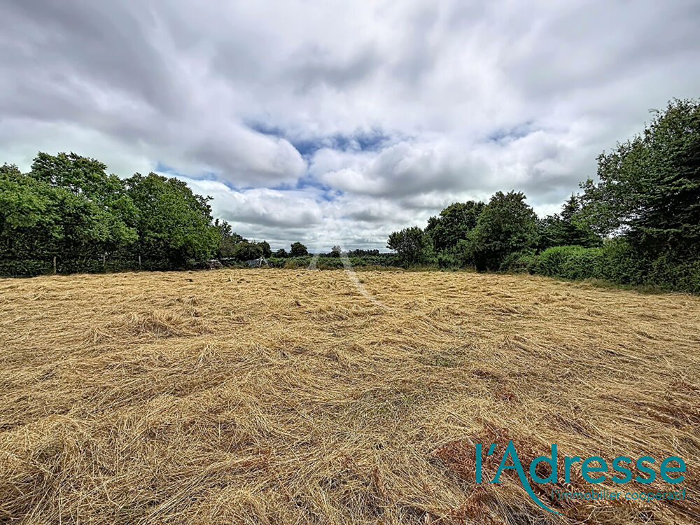Vente Terrain Terrain Belgeard 1000 m² Belgeard