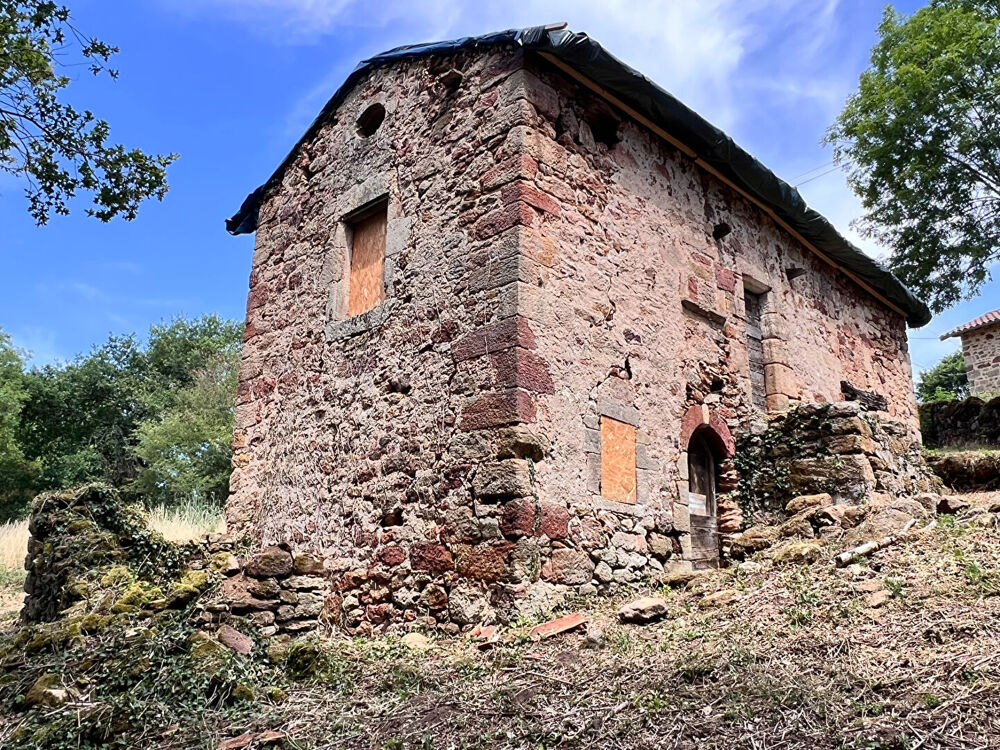 Vente Maison Petite bâtisse de charme à réhabiliter Planioles