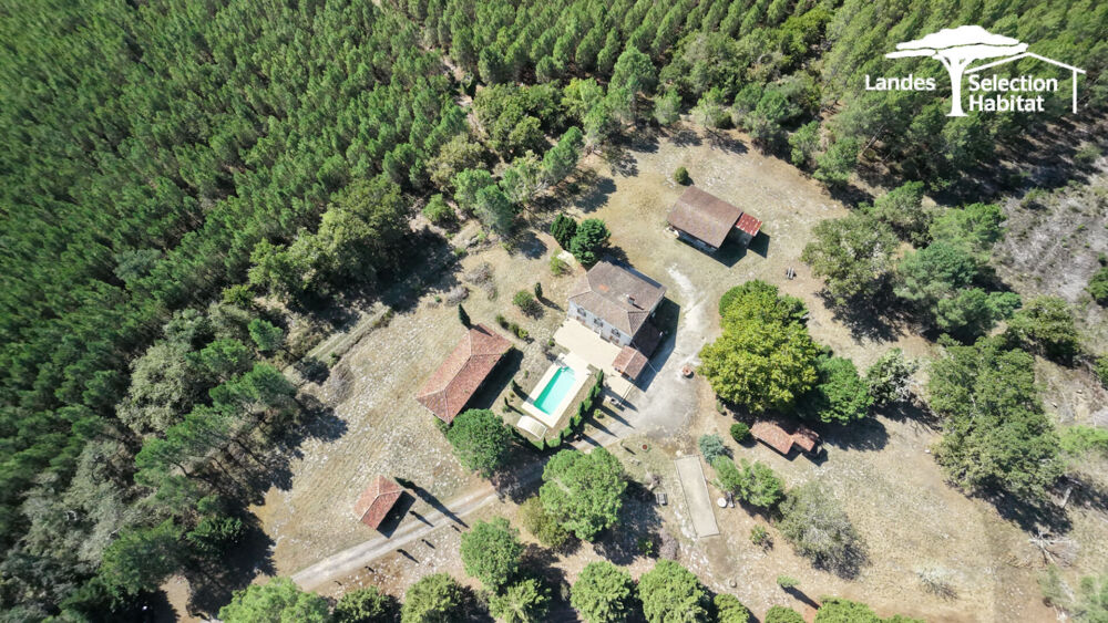 Maison de maître de 230 m² sur 1,3 hectare clos | Dépendances, piscine