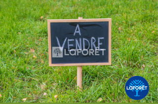  Terrain à vendre 995 m²