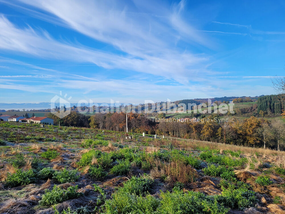 Vente Terrain MONTCHAL - Parcelles de 554 à 760 m² Montchal