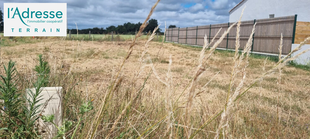 Vente Terrain Terrain L Aiguillon Sur Vie 434 m2 Lot N°11 L aiguillon sur vie