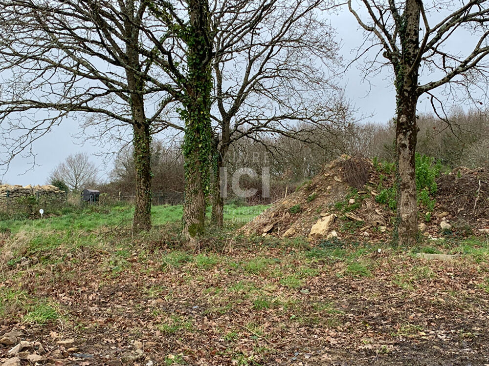 Vente Terrain Terrain Saint Lyphard Saint lyphard