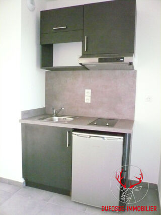  Appartement à louer 1 pièce 29 m²