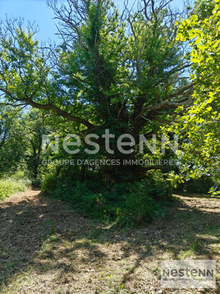  Terrain à vendre 