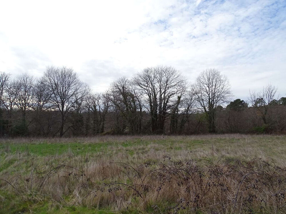 Vente Terrain Terrain Saint Front De Pradoux 2503m² Saint front de pradoux