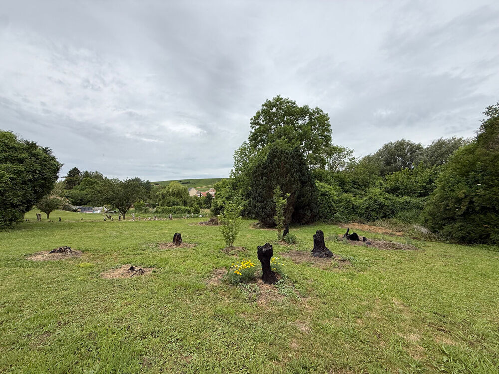 Vente Terrain Terrain à bâtir proche Jonchery Sur Vesle - vue sur la vallée / vignoble - 2532 m2 Jonchery sur vesle