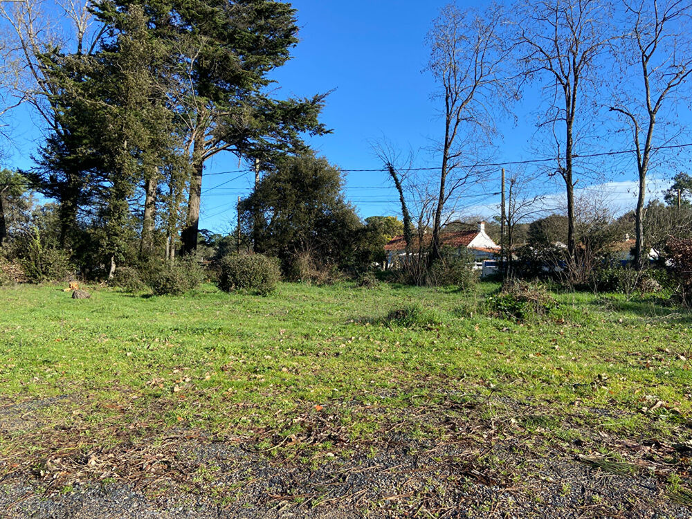 Vente Terrain Terrain 930 m2 constructible non viabilisé Saint Hilaire De Riez Saint hilaire de riez