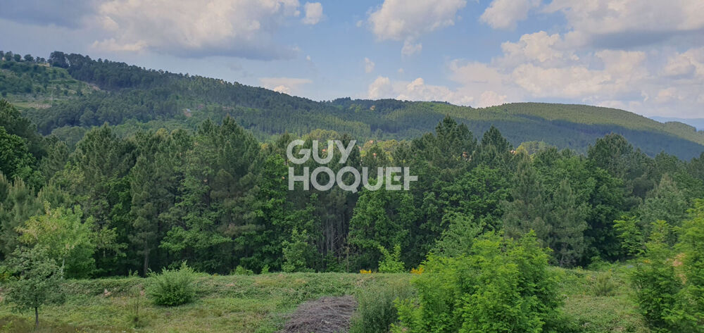 Vente Terrain Magnifique parcelle constructible sur Mercuer Mercuer