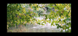  Terrain � vendre 243800 m�