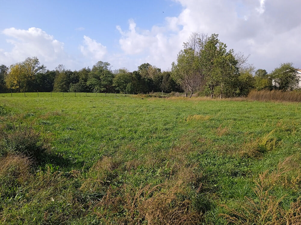 Vente Terrain A VENDRE TERRAIN À BATIR 1993 m2 VIABILISÉ VAL-DE-LIVENNE Val de livenne