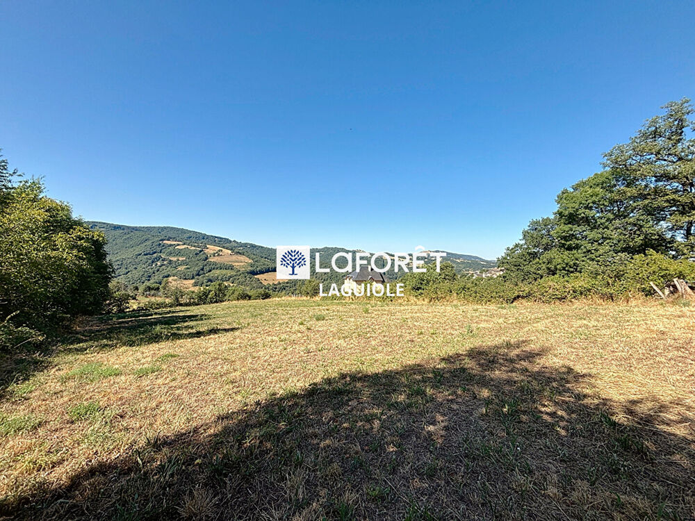 Vente Terrain Terrain Castelnau-de-Mandailles 5390 m2 Castelnau de mandailles