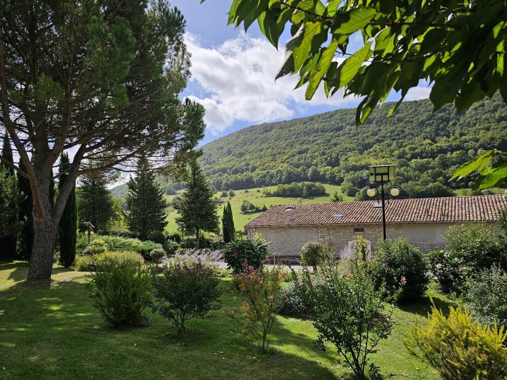 Vente Maison Propriété avec dépendances et parc paysagé Raissac