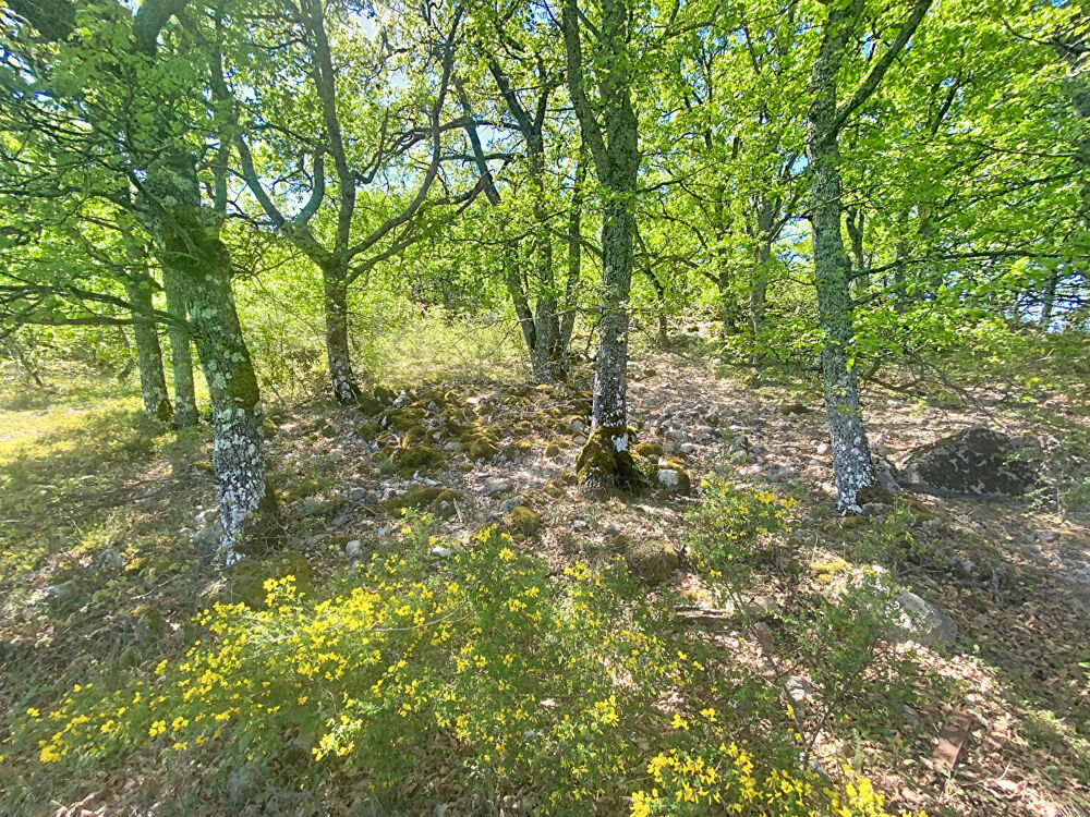 Vente Maison Maison à vendre à Val Buech-Méouge - Terrain de 1987 m² - Travaux à prévoir Val buech meouge