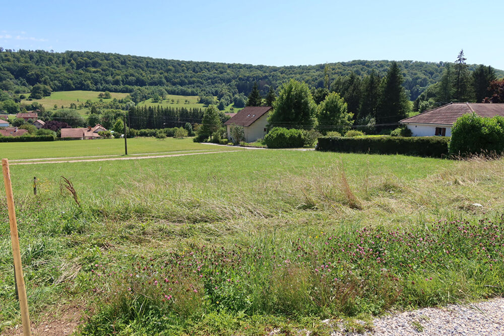 Vente Terrain terrain constructible viabilisé Rurey