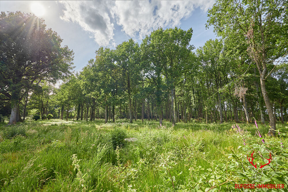 Chaumière au sein d'un domaine forestier privé de près de 14 hectares
