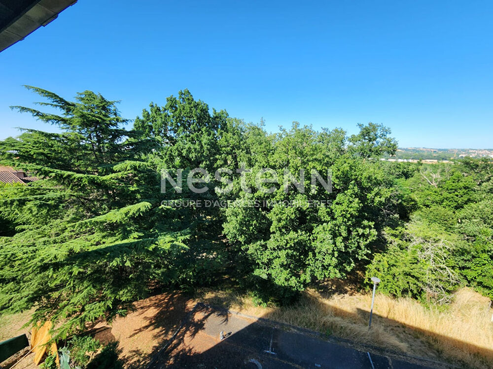 Vente Appartement Appartement Toulouse T2 49 m2 avec parking et cave, vue degagee bois, quartier La Terrasse Toulouse