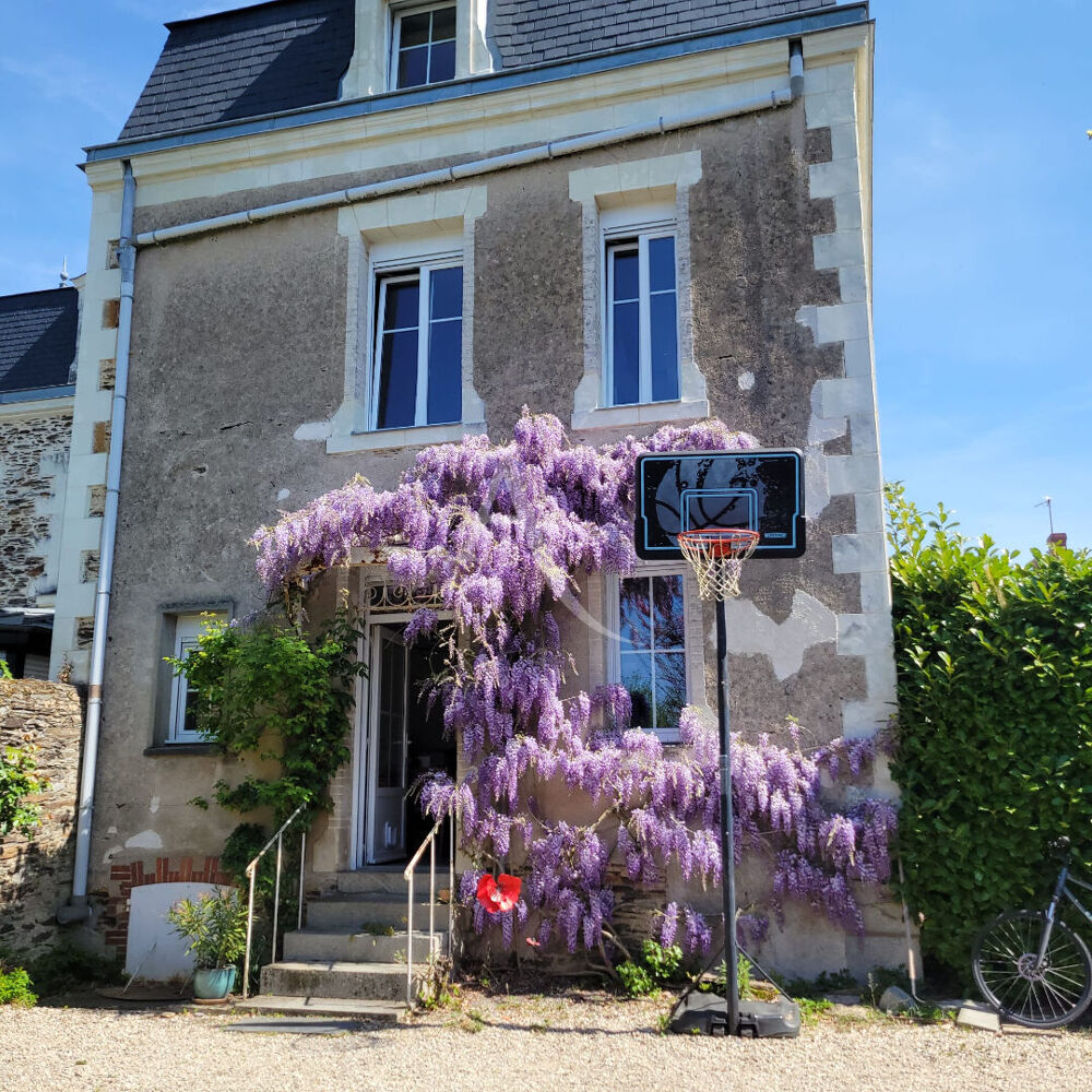 Vente Maison Élégante maison de ville avec jardin clos et arboré, sans vis-à-vis Segre en anjou bleu
