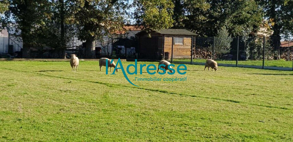 Vente Terrain Terrain  Constructible à Geste 1360 m2 Vallet