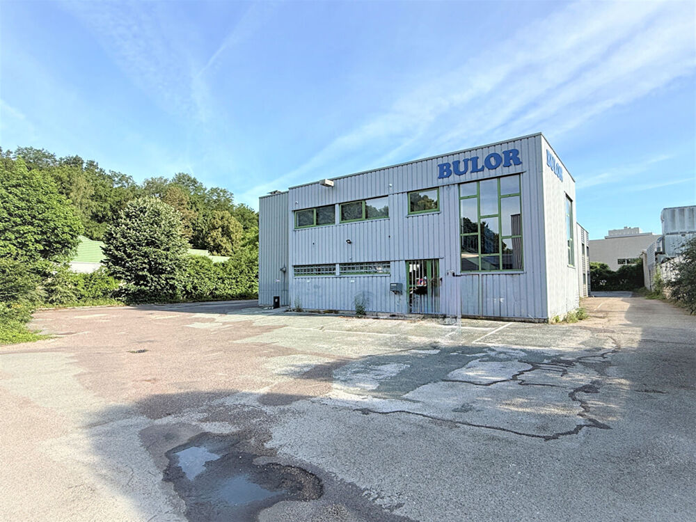   Local d'activité Miserey Salines 1200 m2 - A VENDRE Miserey salines