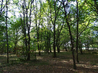  Terrain à vendre 10260 m²