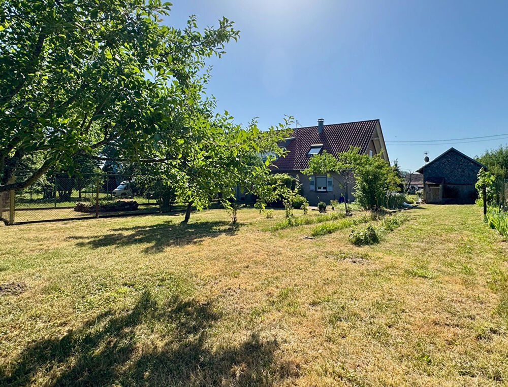 Vente Maison Otterswiller maison bi-famille 7 pièces 293 m2 Otterswiller