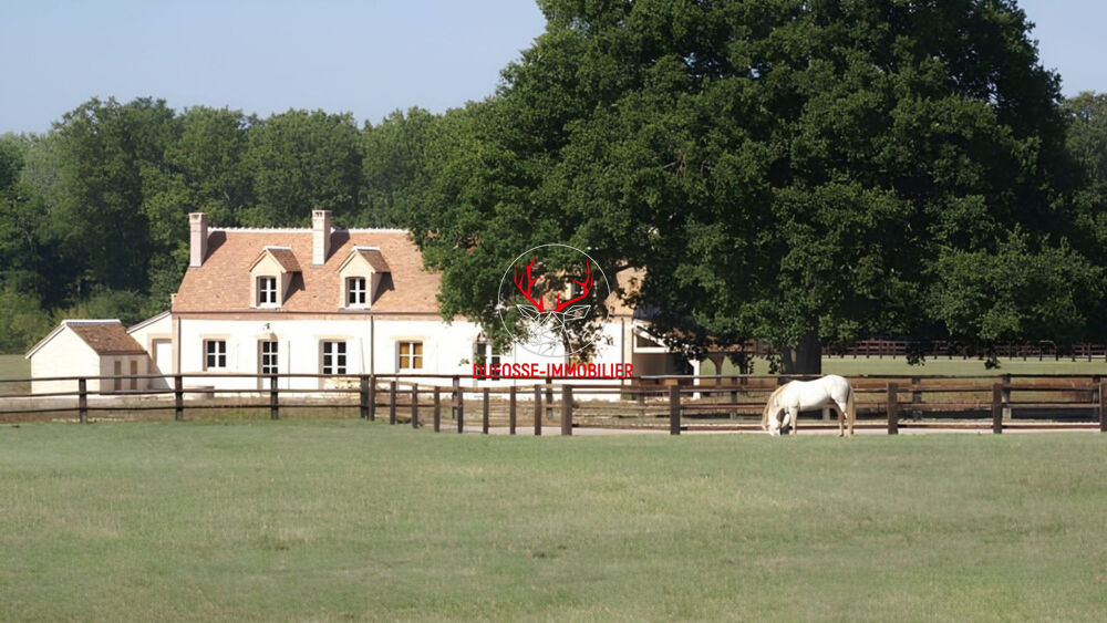 Vente Maison Propriété équestre de charme de plus de 16 hectares en Sologne Romorantin lanthenay