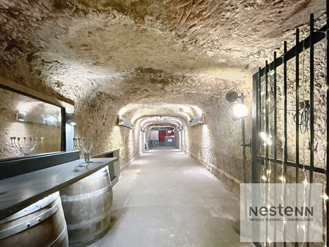 A VENDRE A SAINT-AVERTIN en plein centre  bourg : local commercial avec potentiel 233000 37550 Saint avertin