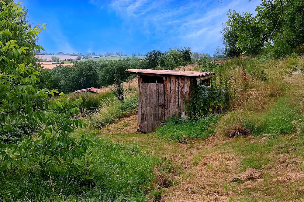 Vente Terrain Terrain Mirandol Bourgnounac 6238 m2 dépendances, mare, terrasses Mirandol bourgnounac
