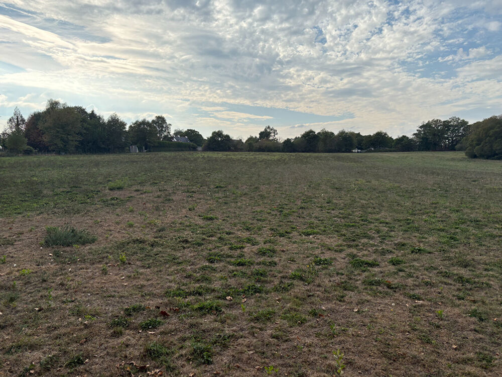 Vente Terrain Terrain agricole de 26970 m2 - Questembert Questembert