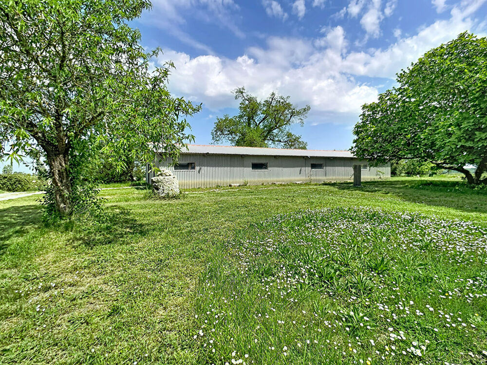 Maison de plain pied, 4 chambres à Lannes - Grand terrain dépendance et piscine