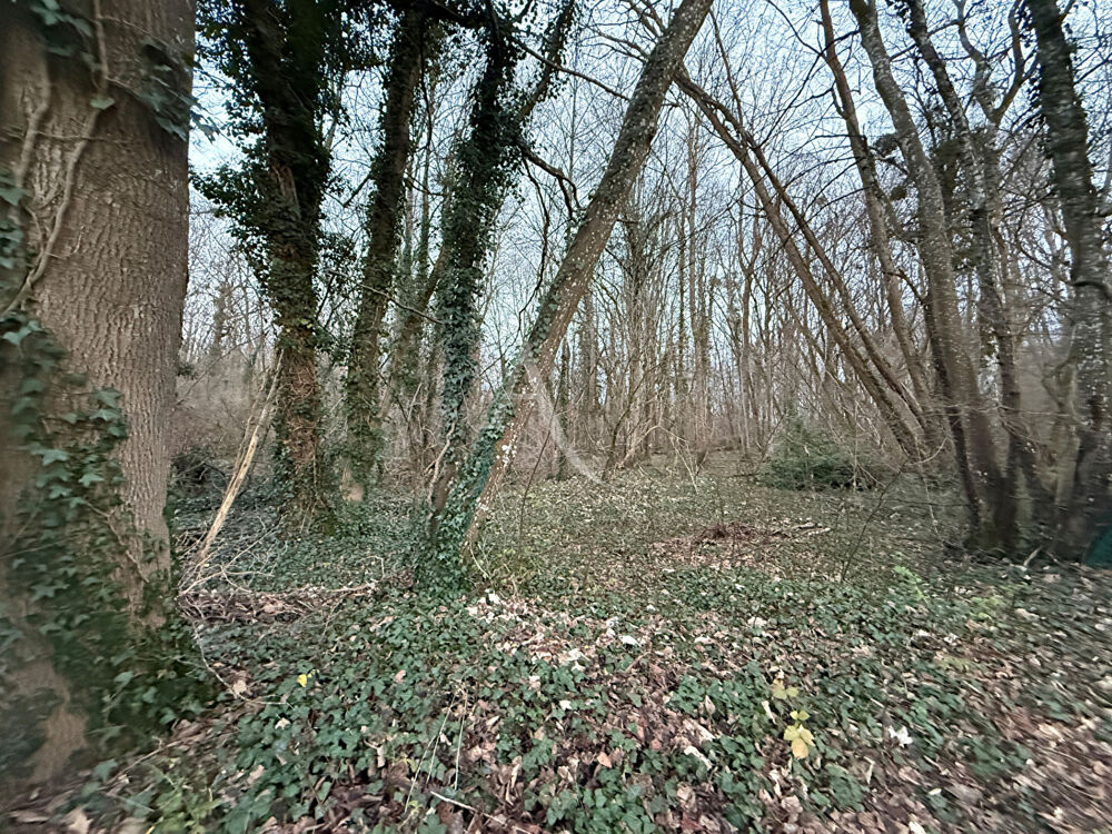 Vente Terrain Terrain de loisir Le Chatelet En Brie 3008 m2 Le chatelet en brie