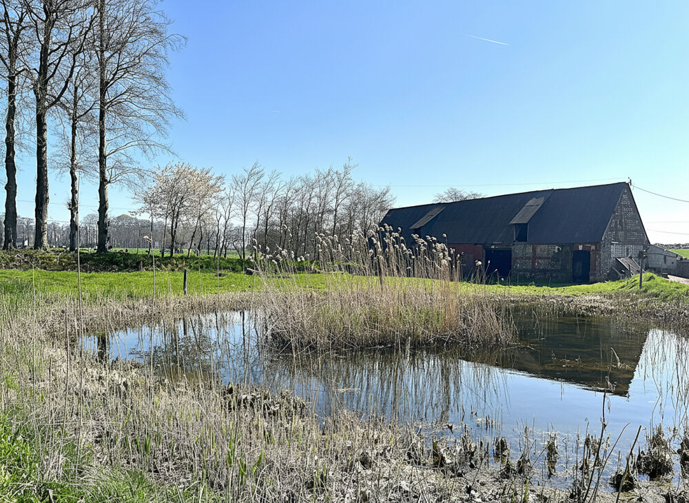 Vente Maison Clos masure Raffetot Raffetot