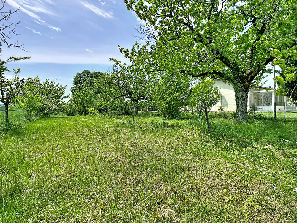 Vente Maison Maison de plain pied, 4 chambres à Lannes - Grand terrain dépendance et piscine Nerac