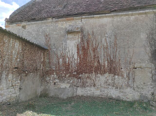  Maison � vendre 1 pi�ce 130 m�