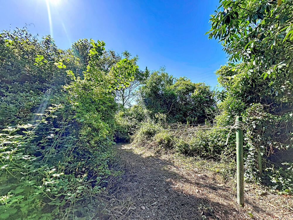 Vente Terrain Terrain Rubelles 768 m2 Rubelles