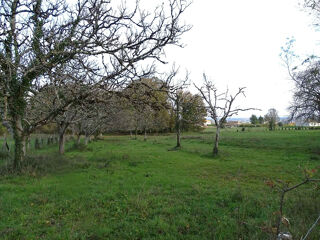  Terrain à vendre 3972 m²