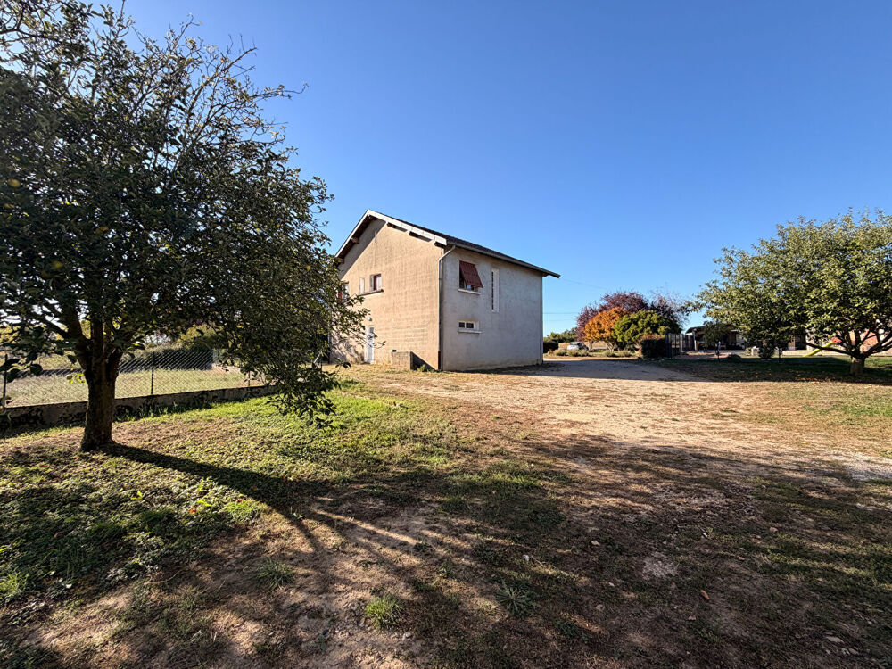 Vente Maison MAISON AVEC GRAND HANGAR SUR 9000 M² DE TERRAIN Chanoz chatenay