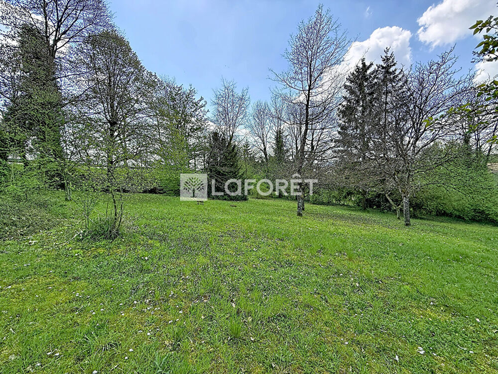 Maison Neufchateau 8 pièce(s) 167.96 m2